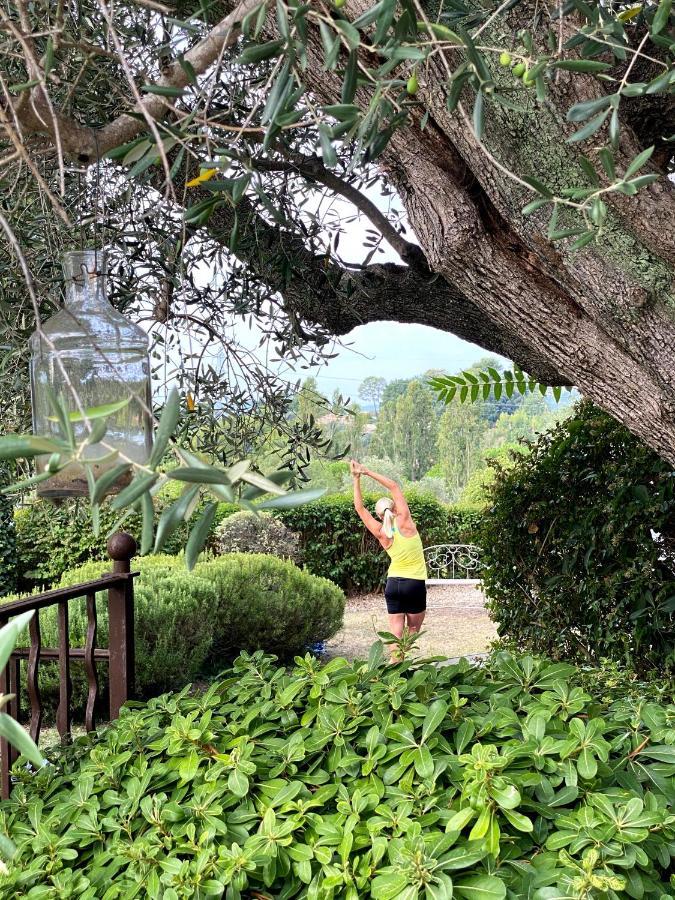 Le Manoir De L'Etang Hotel Mougins Kültér fotó